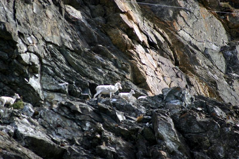 070404 Hope Hatcher Montana Creek (10043)